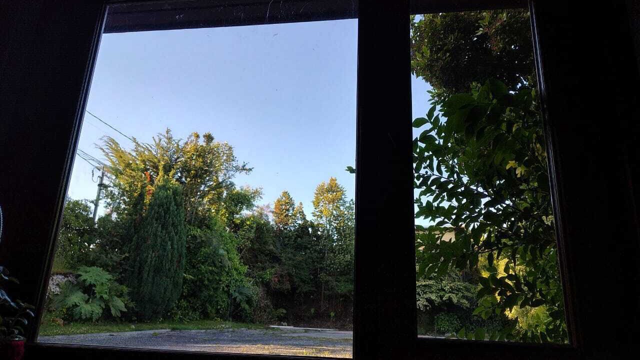 Photo of Outdoor in Puerto Varas