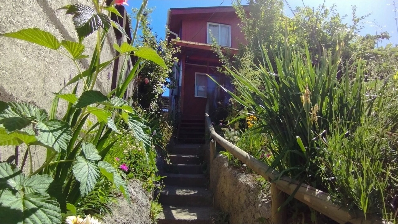 Photo of Outdoor in Osorno