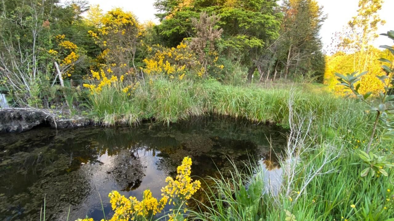 Photo of Outdoor in Rilan