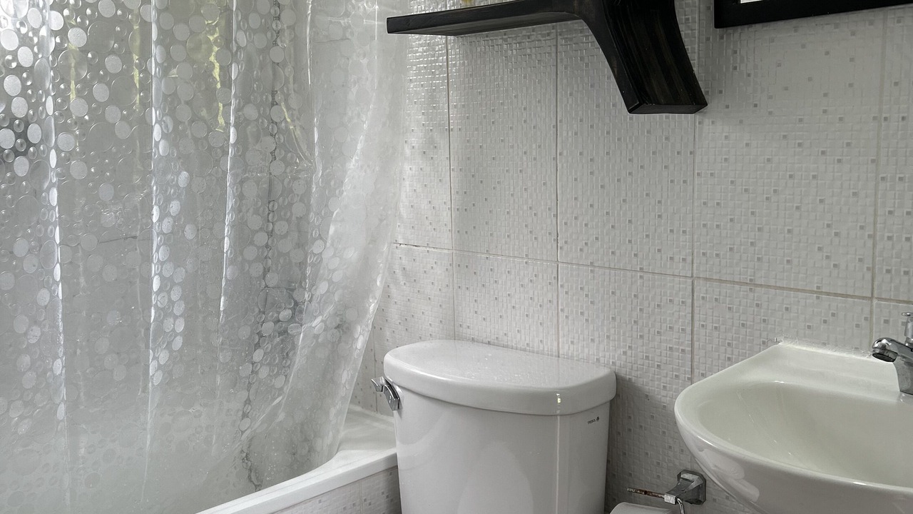 Photo of Bathroom in Hornopiren National Park