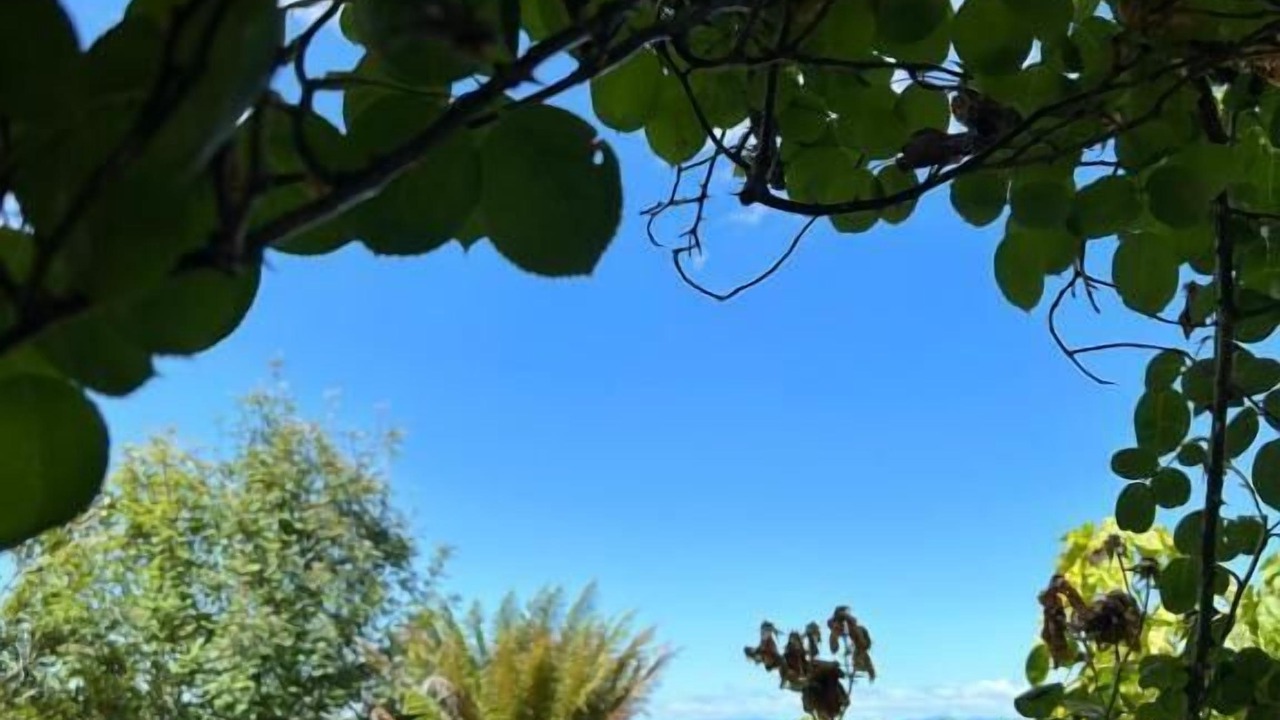 Photo of Outdoor in Frutillar