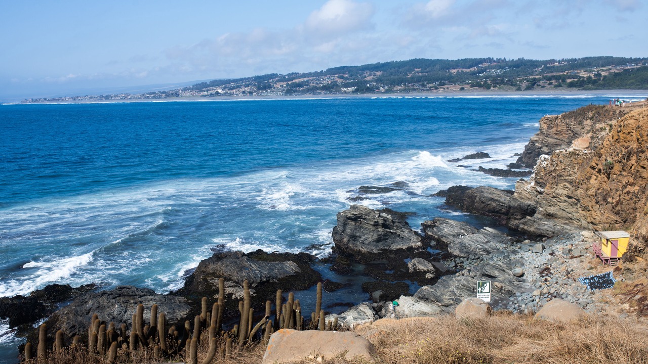 Photo of Others in Pichilemu