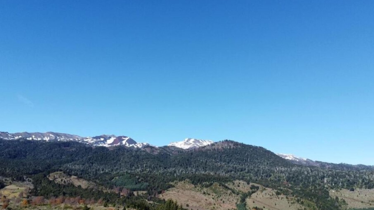 Photo of Outdoor in Melipeuco