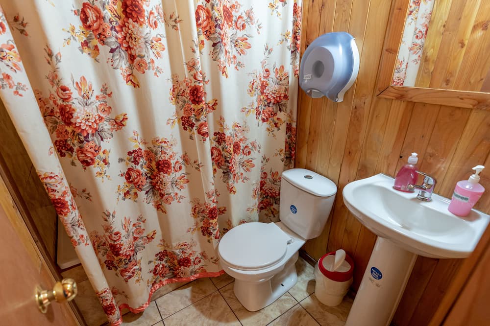 Photo of Bathroom in Pucon