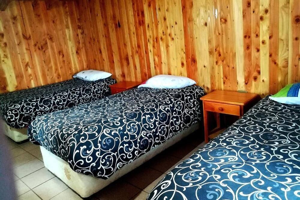 Photo of Bedroom in Pucon