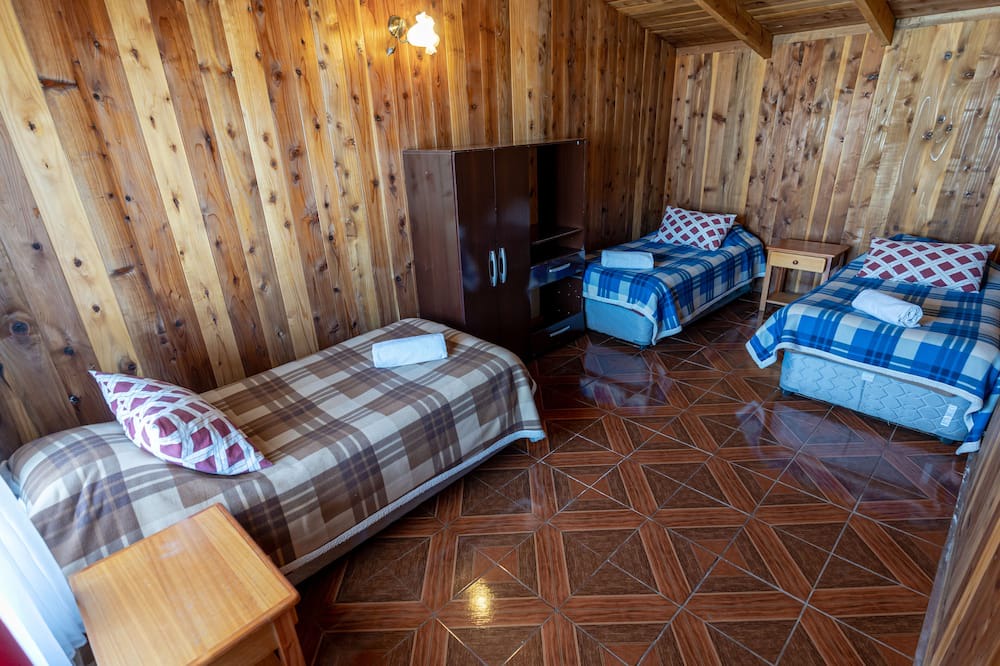 Photo of Bedroom in Pucon