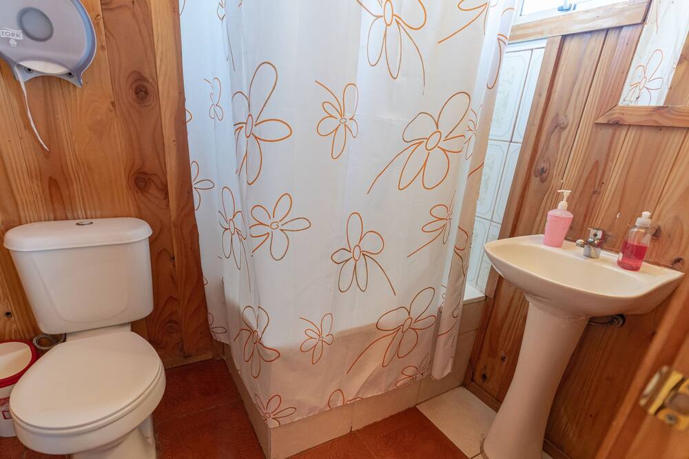 Photo of Bathroom in Pucon