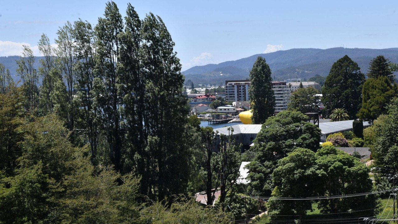 Photo of Others in Valdivia