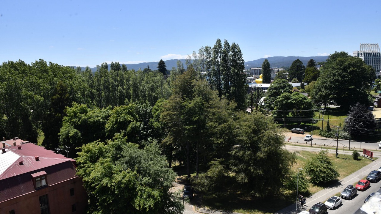 Photo of Others in Valdivia