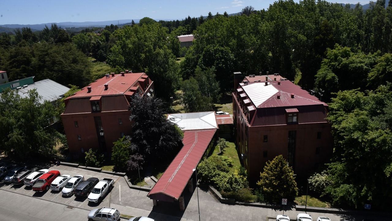 Photo of Outdoor in Valdivia