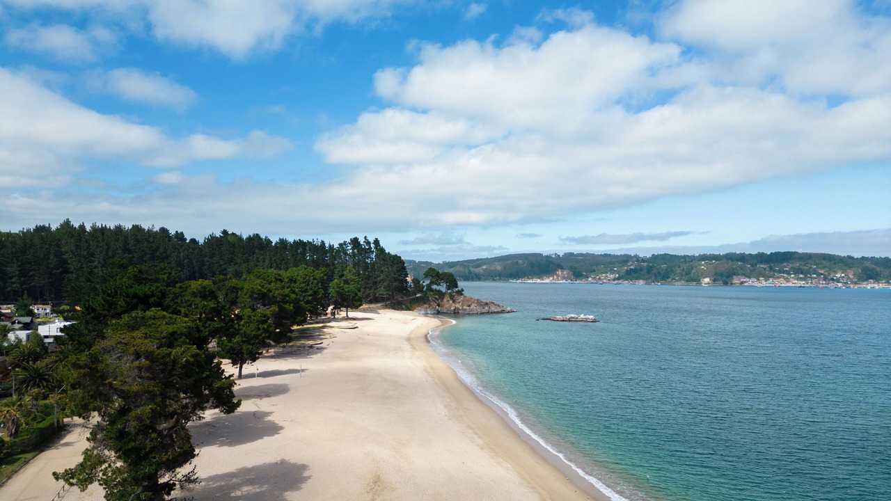 Photo of Others in Concepcion