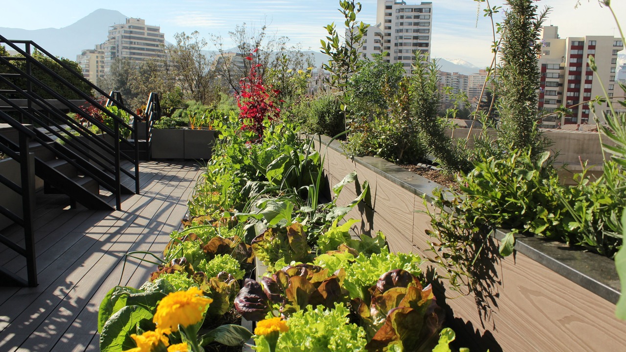 Photo of Outdoor in Santiago