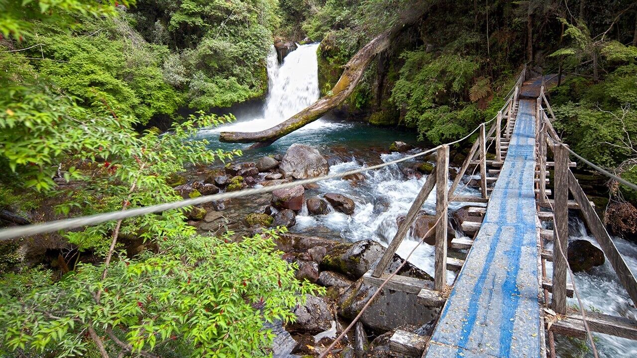Photo of Outdoor in Puyehue