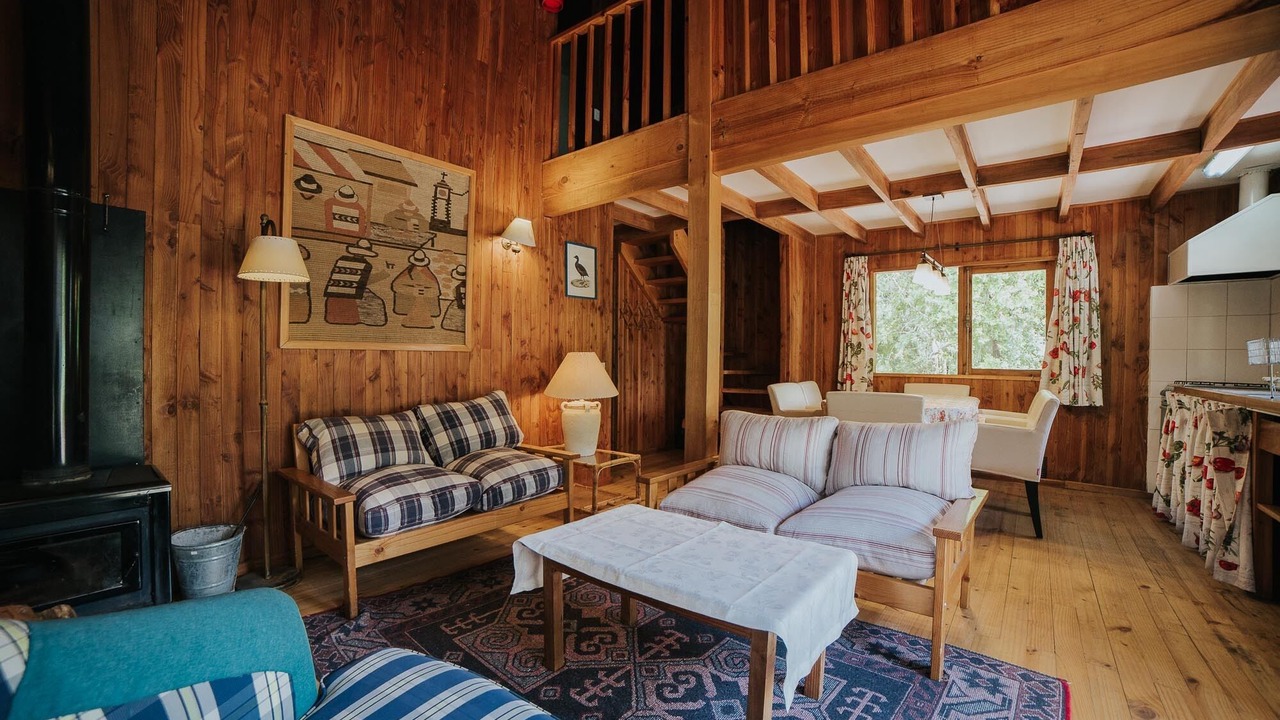 Photo of Livingroom in Pucon