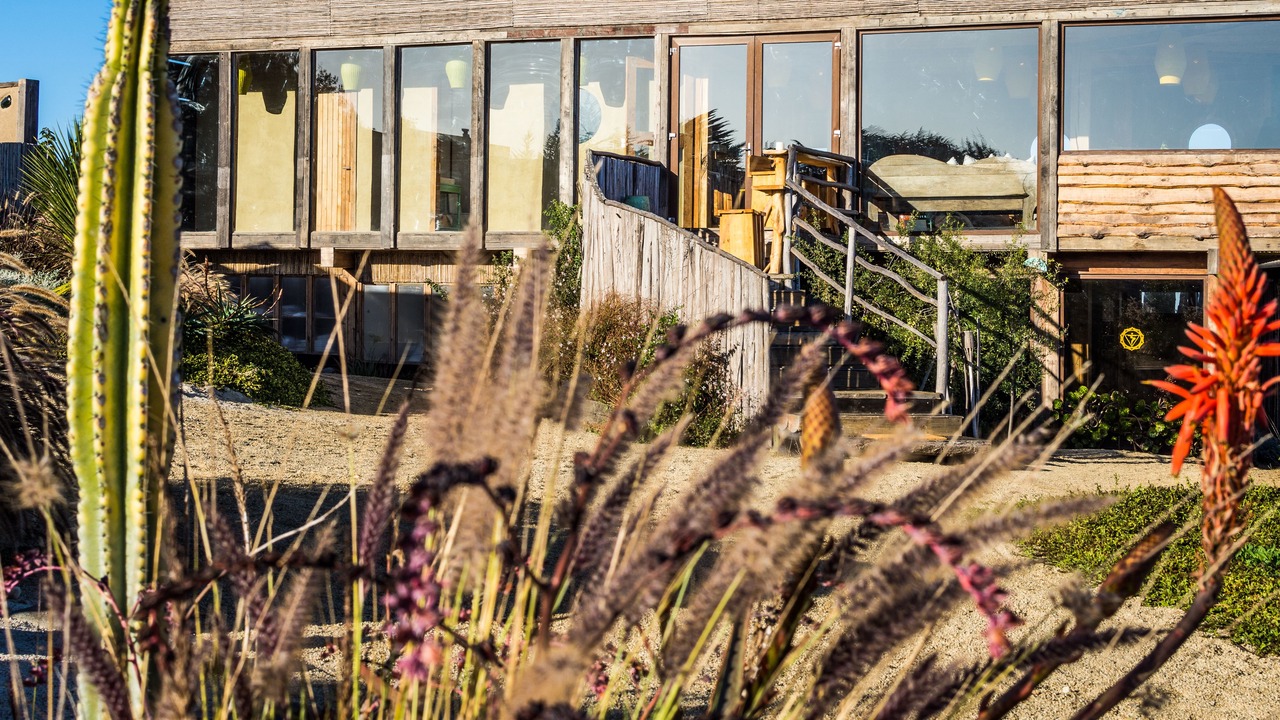Photo of Outdoor in Pichilemu