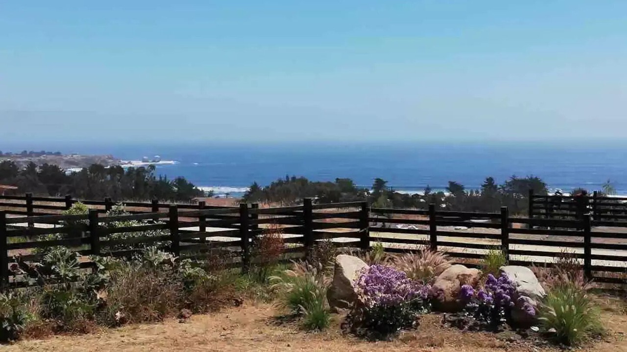 Photo of Outdoor in Pichilemu
