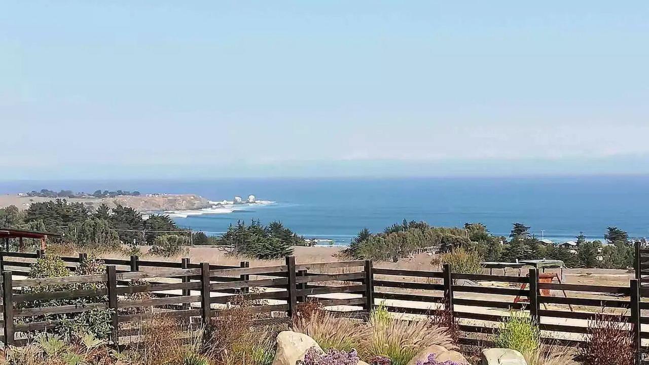 Photo of Others in Pichilemu