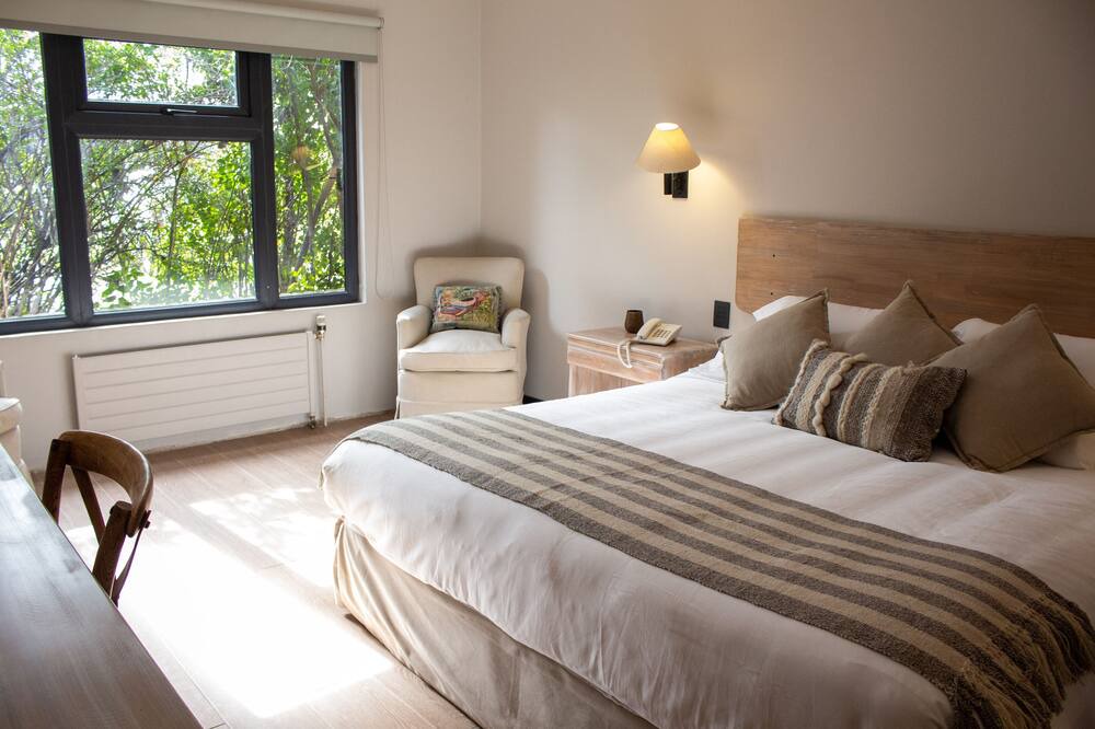 Photo of Bedroom in Curico