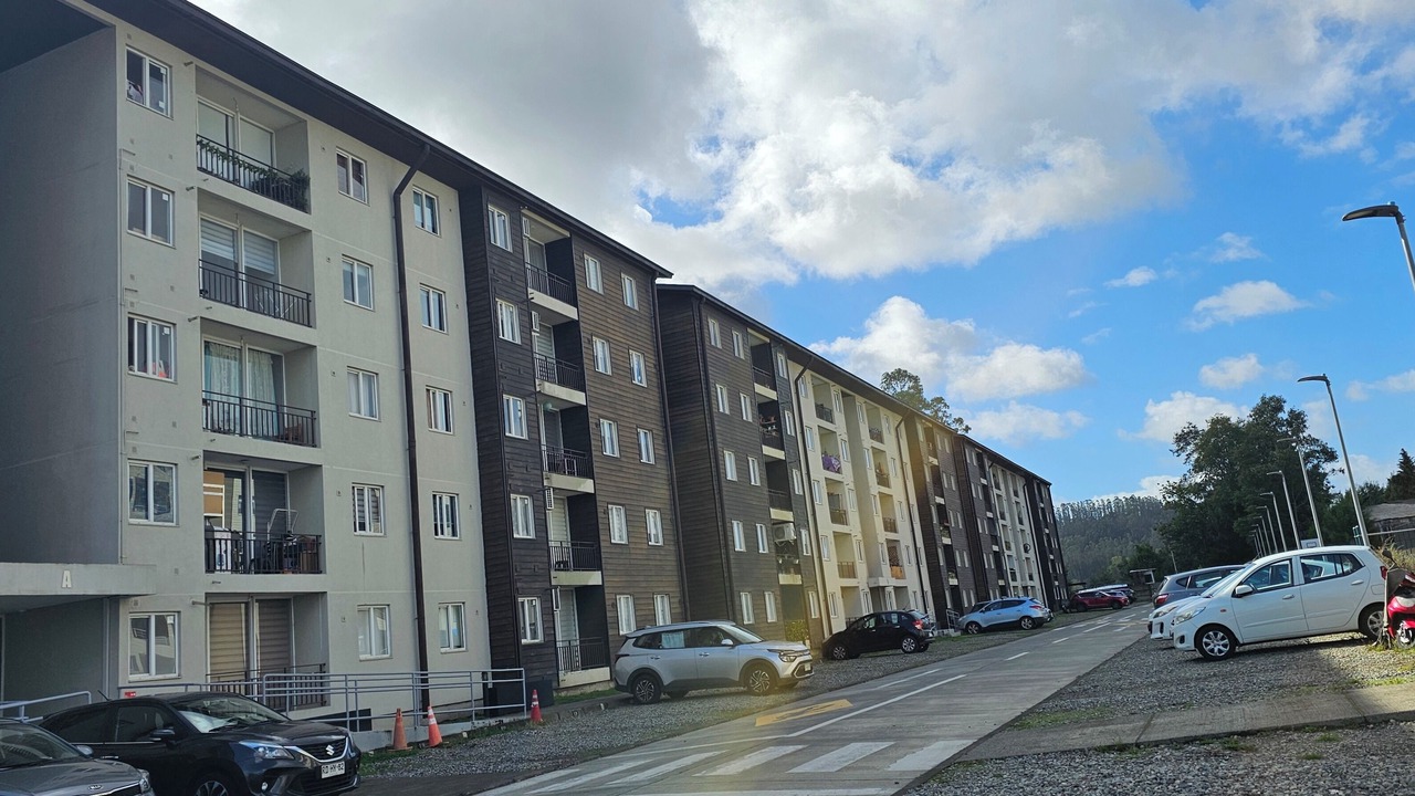 Photo of Outdoor in Valdivia