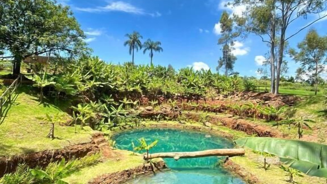 Photo of Outdoor in Brotas