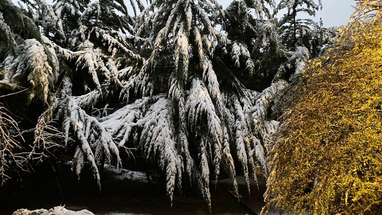 Photo of Outdoor in Melocoton