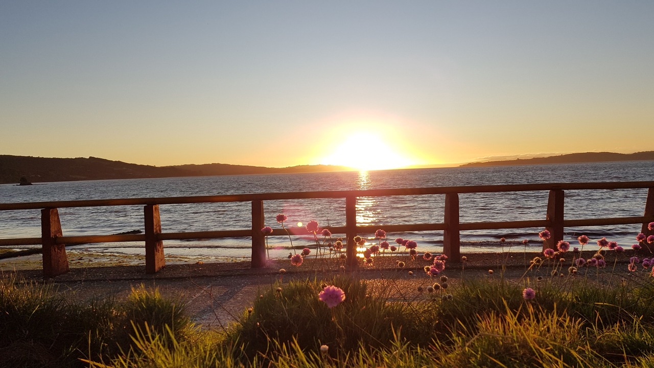 Photo of Others in Ancud