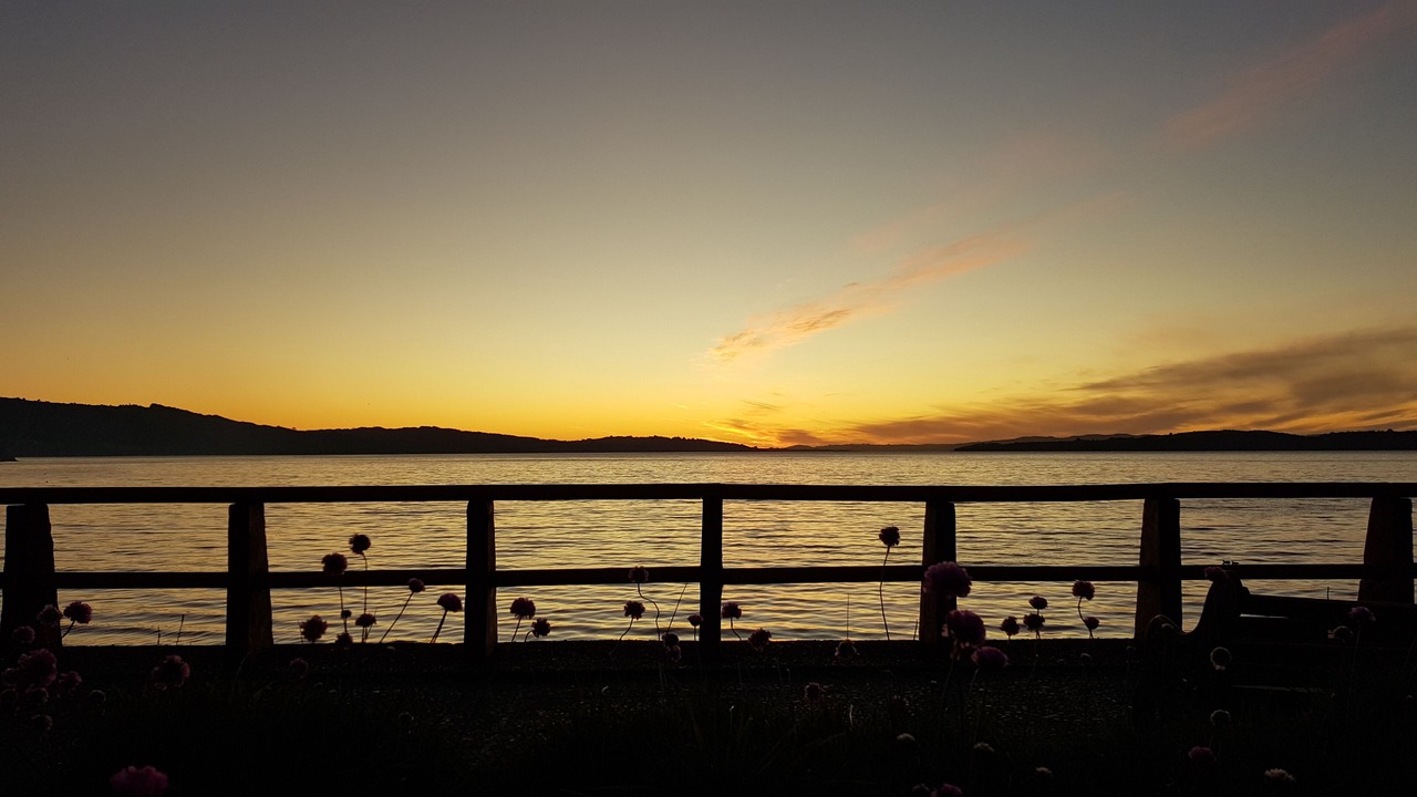 Photo of Others in Ancud