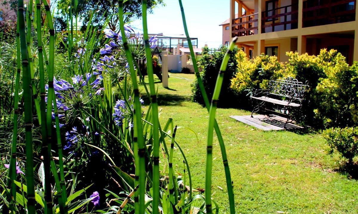 Photo of Outdoor in Mar de Ajo