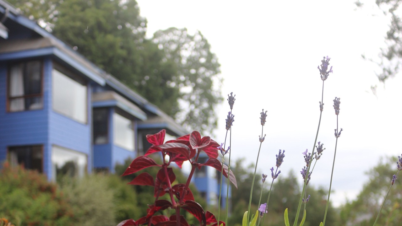 Photo of Patio Balcony in Frutillar