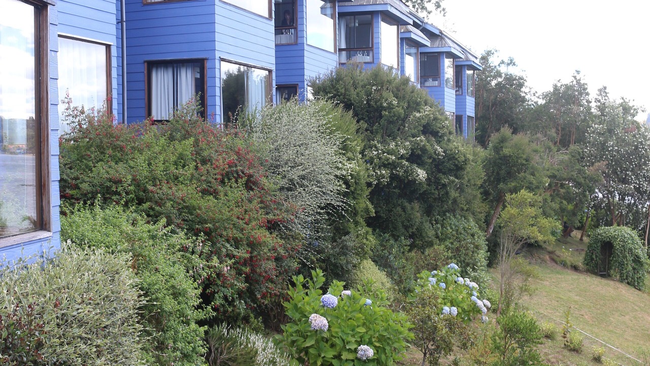 Photo of Outdoor in Frutillar