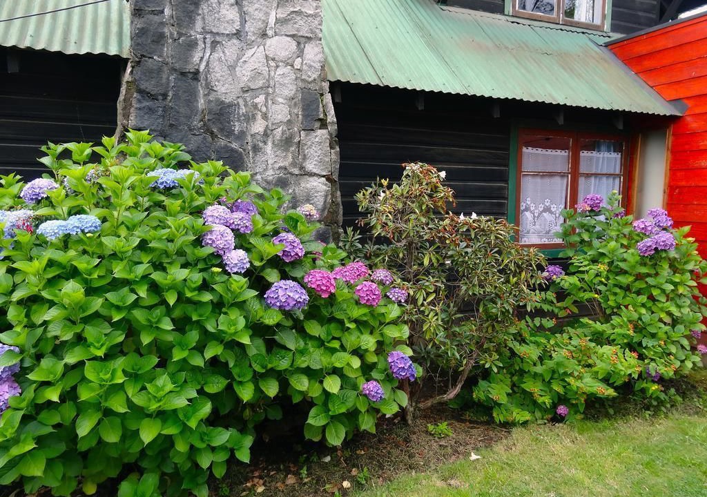 Photo of Outdoor in Pucon