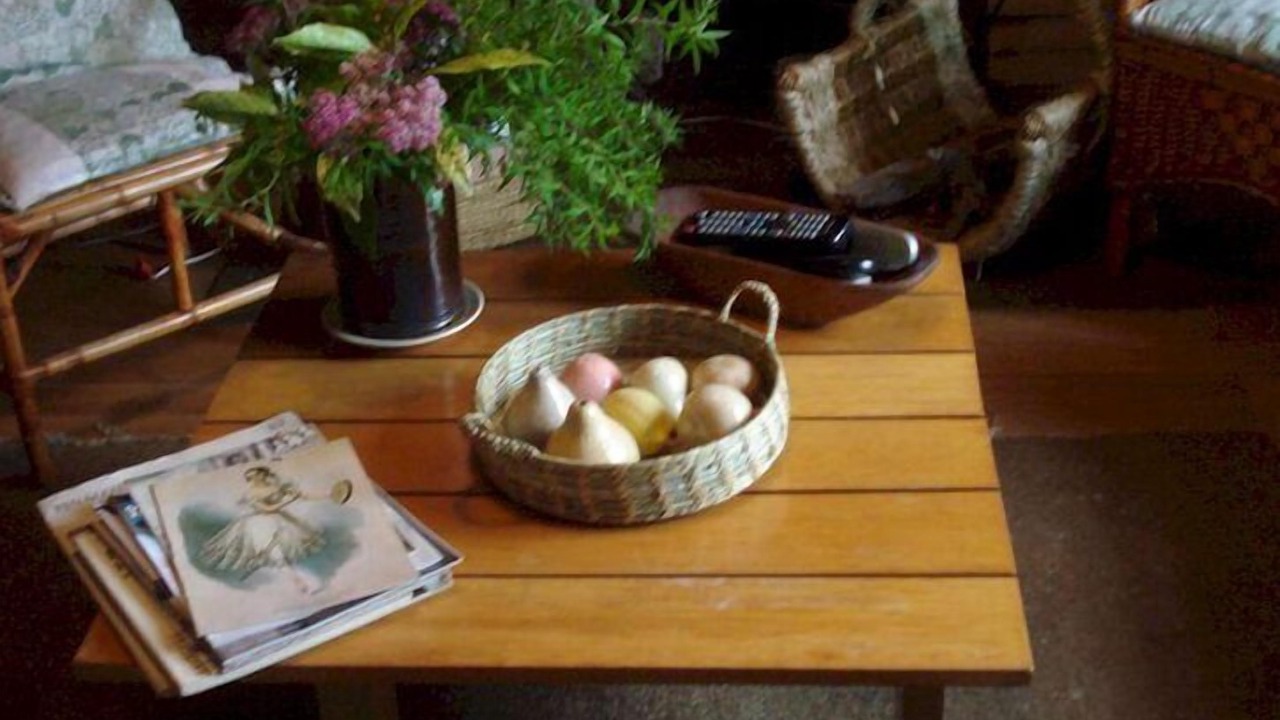 Photo of Livingroom in Pucon