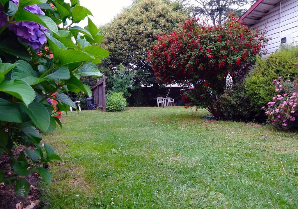 Photo of Outdoor in Pucon