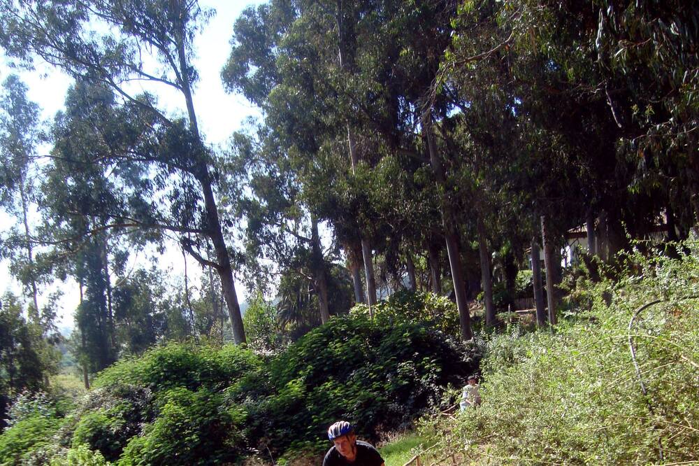 Photo of Outdoor in Quintero