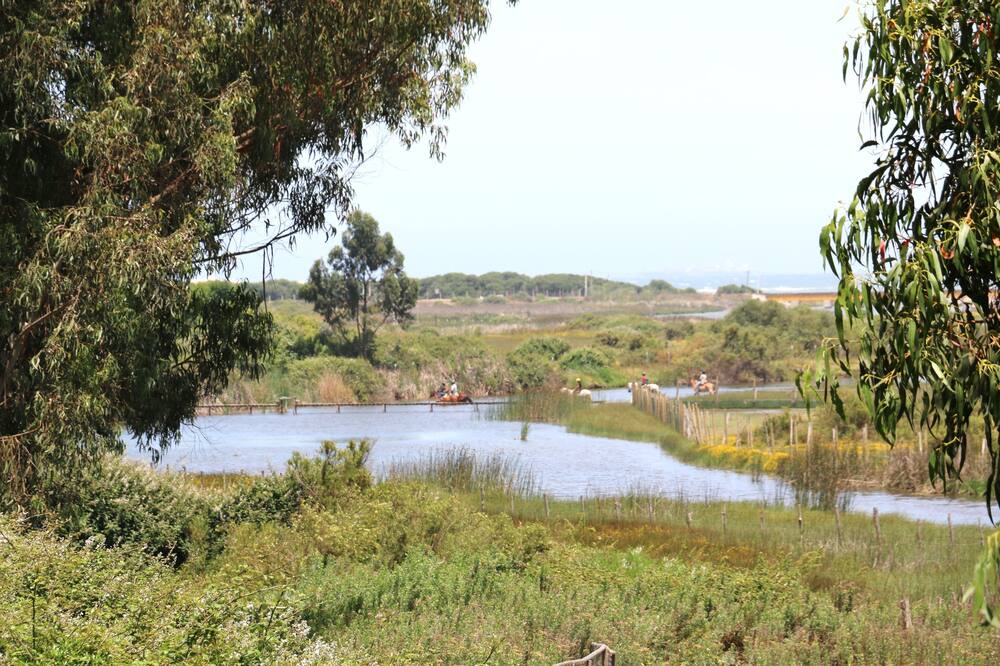 Photo of Others in Quintero