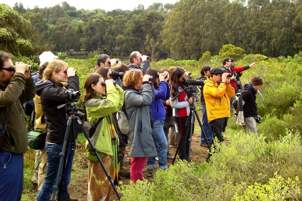 Photo of Others in Quintero