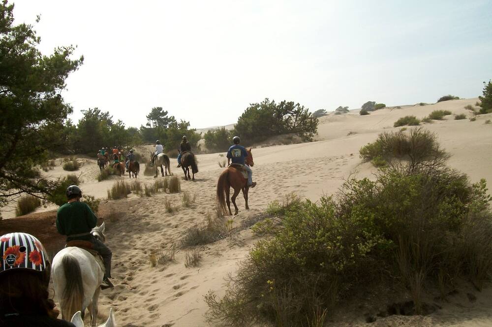 Photo of Others in Quintero