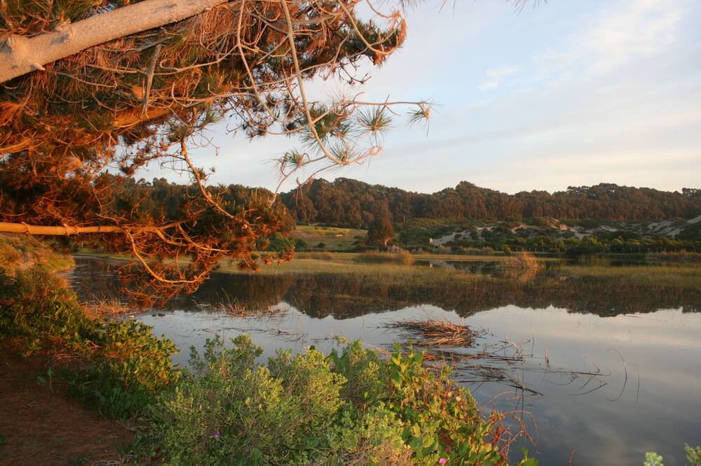 Photo of Outdoor in Quintero