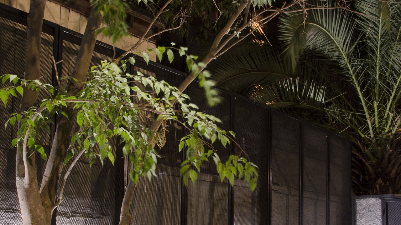 Photo of Patio Balcony in Bellavista