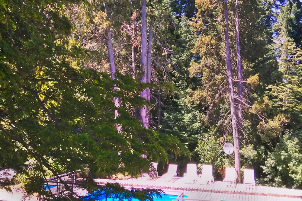 Photo of Outdoor in Puerto Manzano