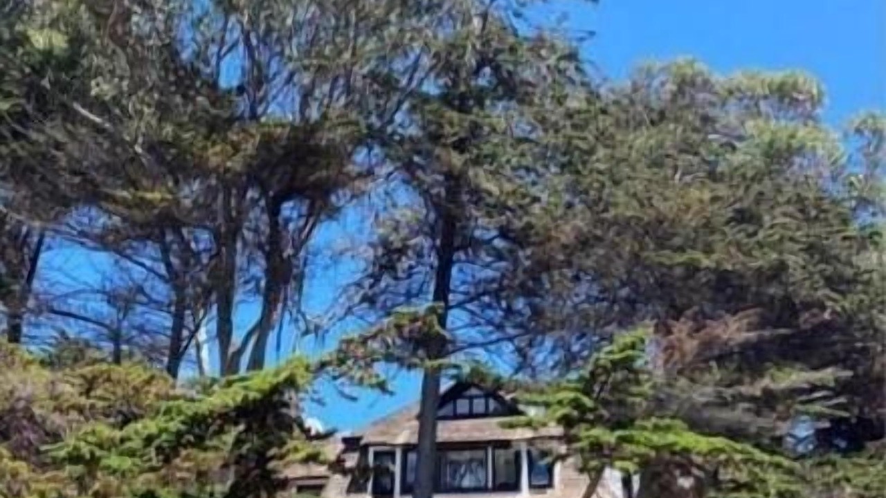 Photo of Outdoor in Zapallar