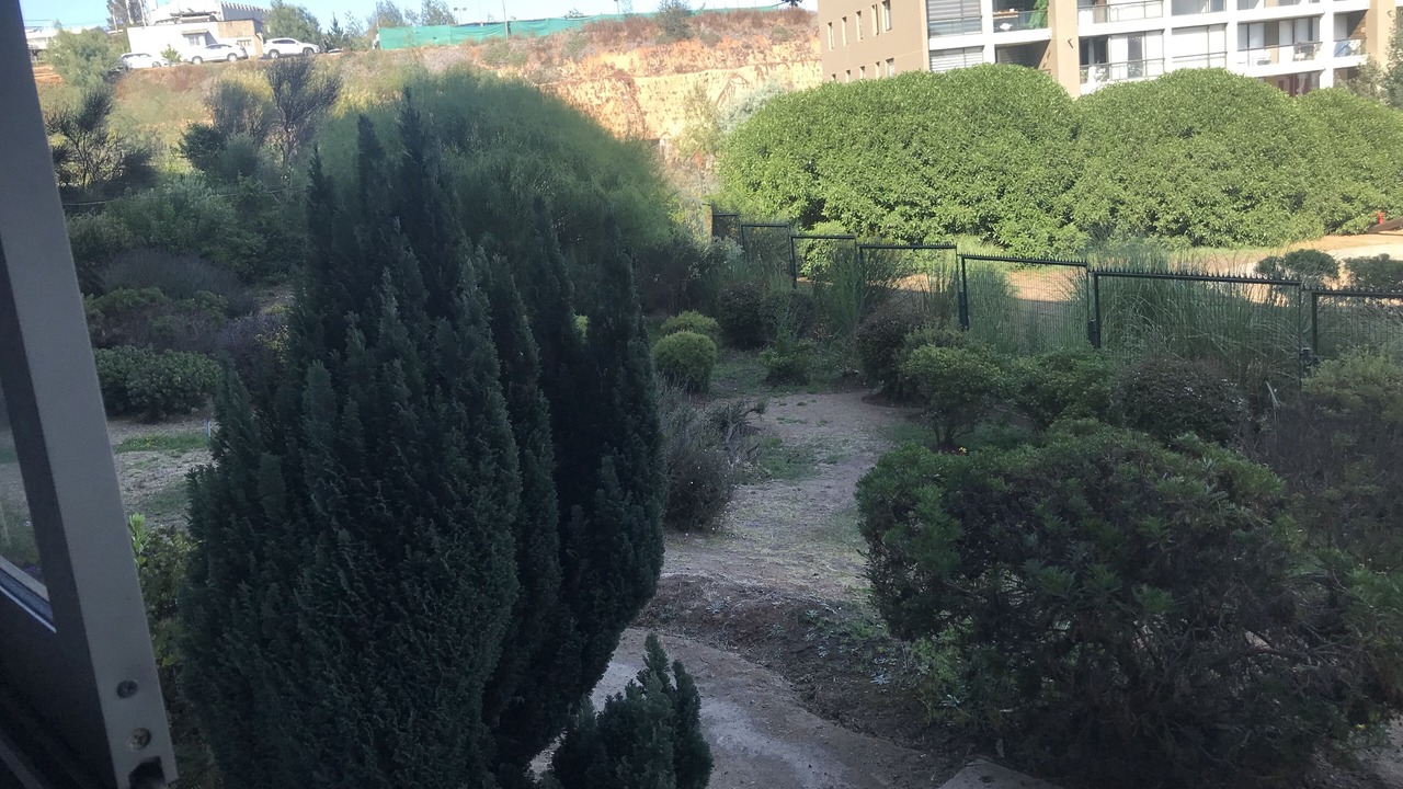 Photo of Outdoor in Placeres