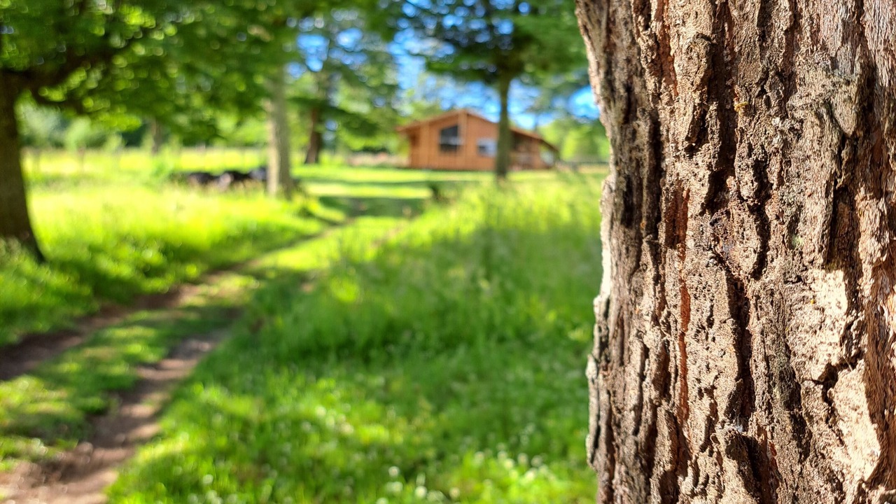 Photo of Outdoor in Coyhaique