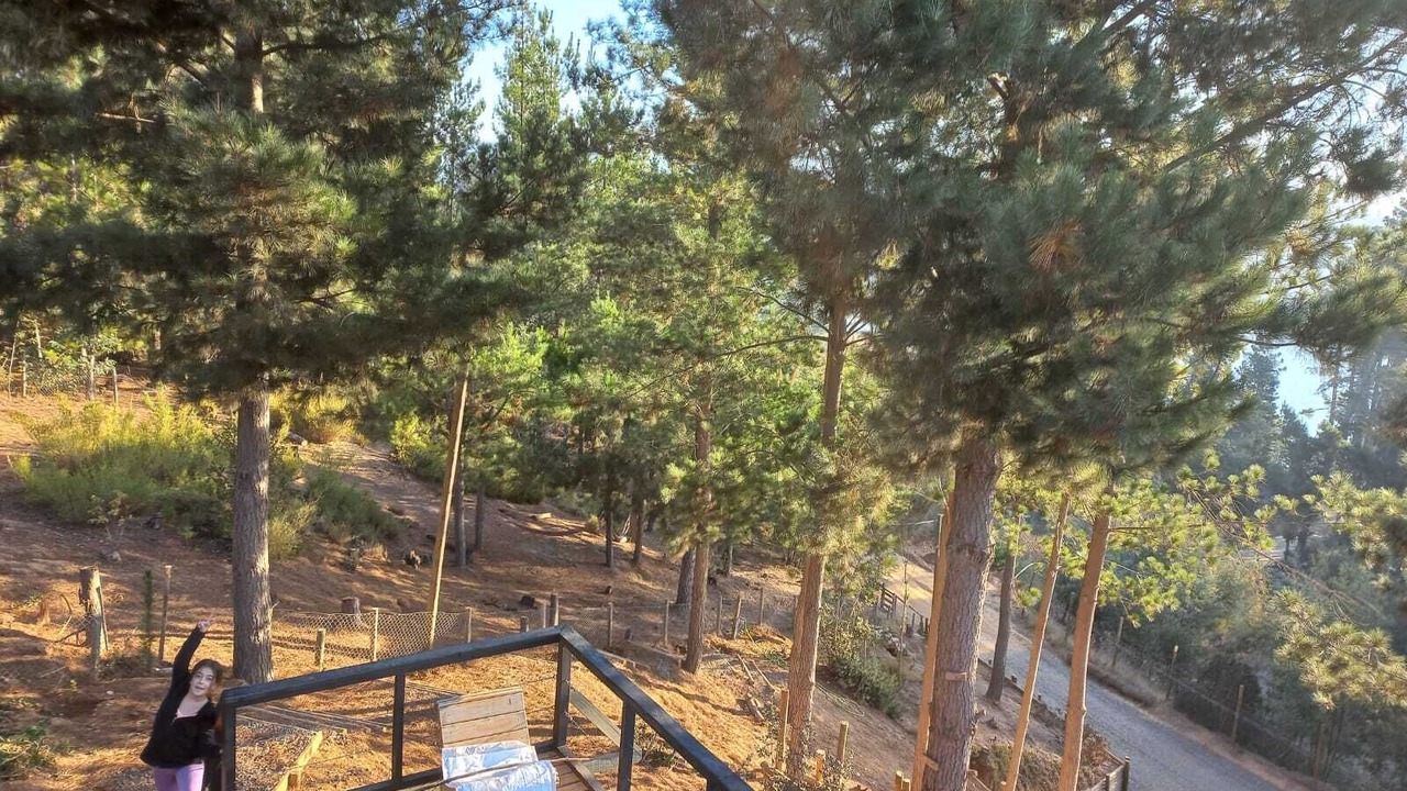 Photo of Outdoor in Talca