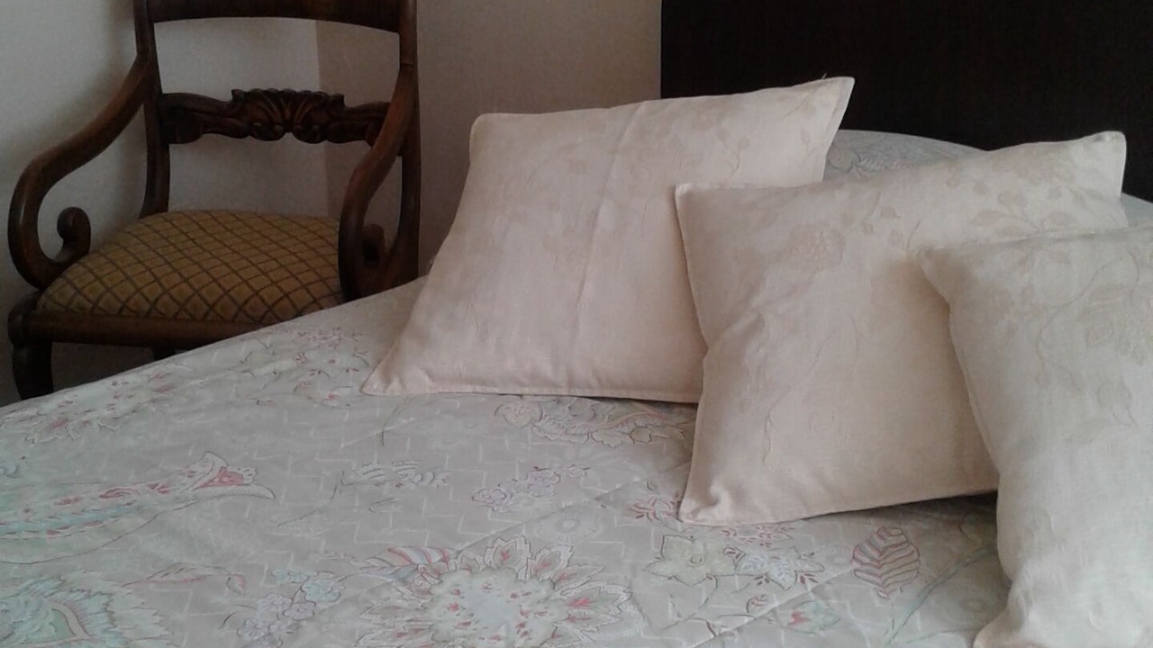 Photo of Bedroom in Vina del Mar