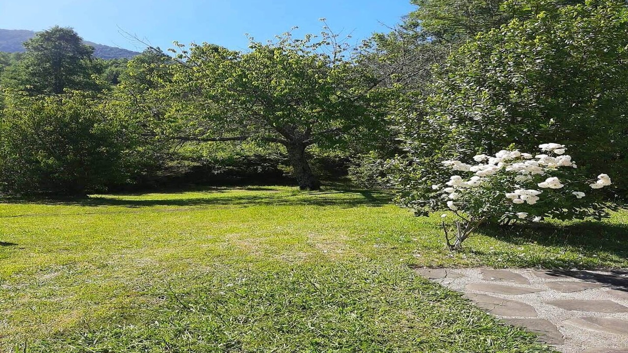 Photo of Outdoor in Pucon