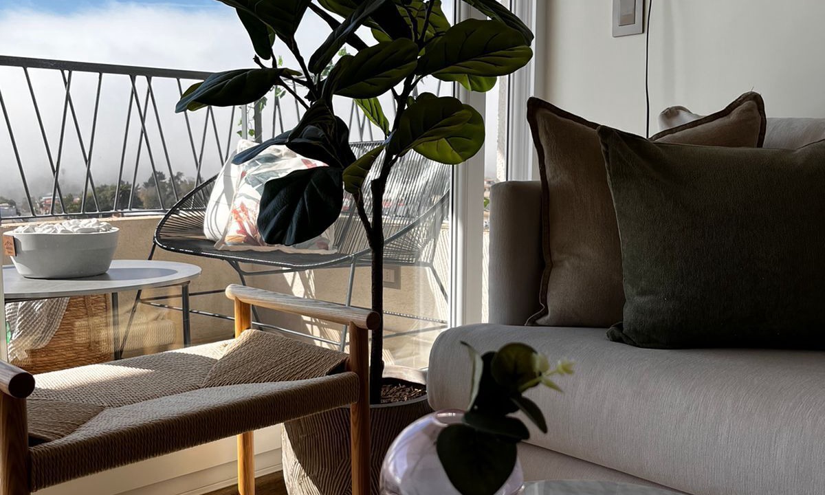 Photo of Livingroom in Papudo
