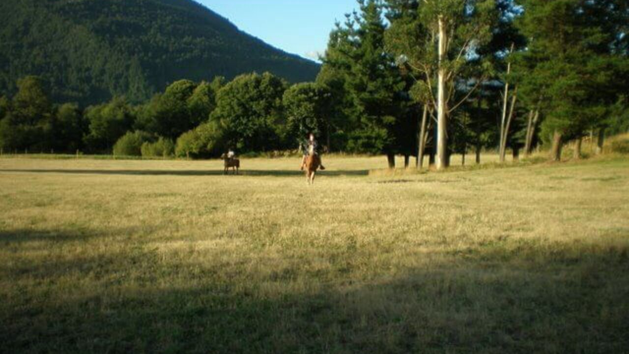Photo of Others in Pucon