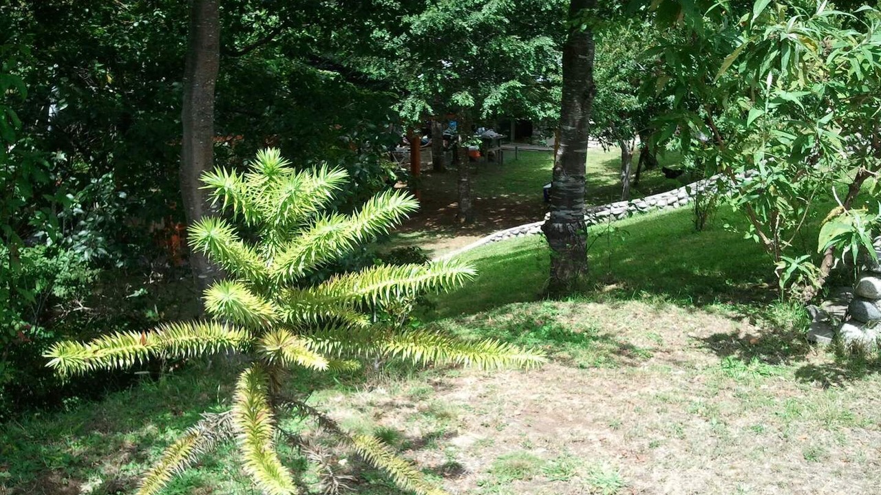 Photo of Outdoor in Pucon