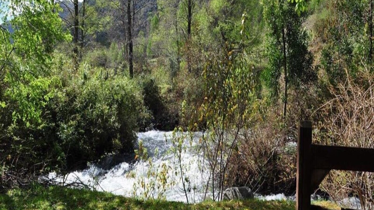 Photo of Outdoor in Pucon